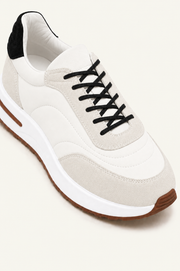 Tarino Sneaker White