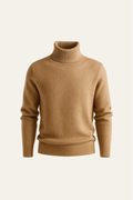 Paravi Cashmere Turtleneck Brown